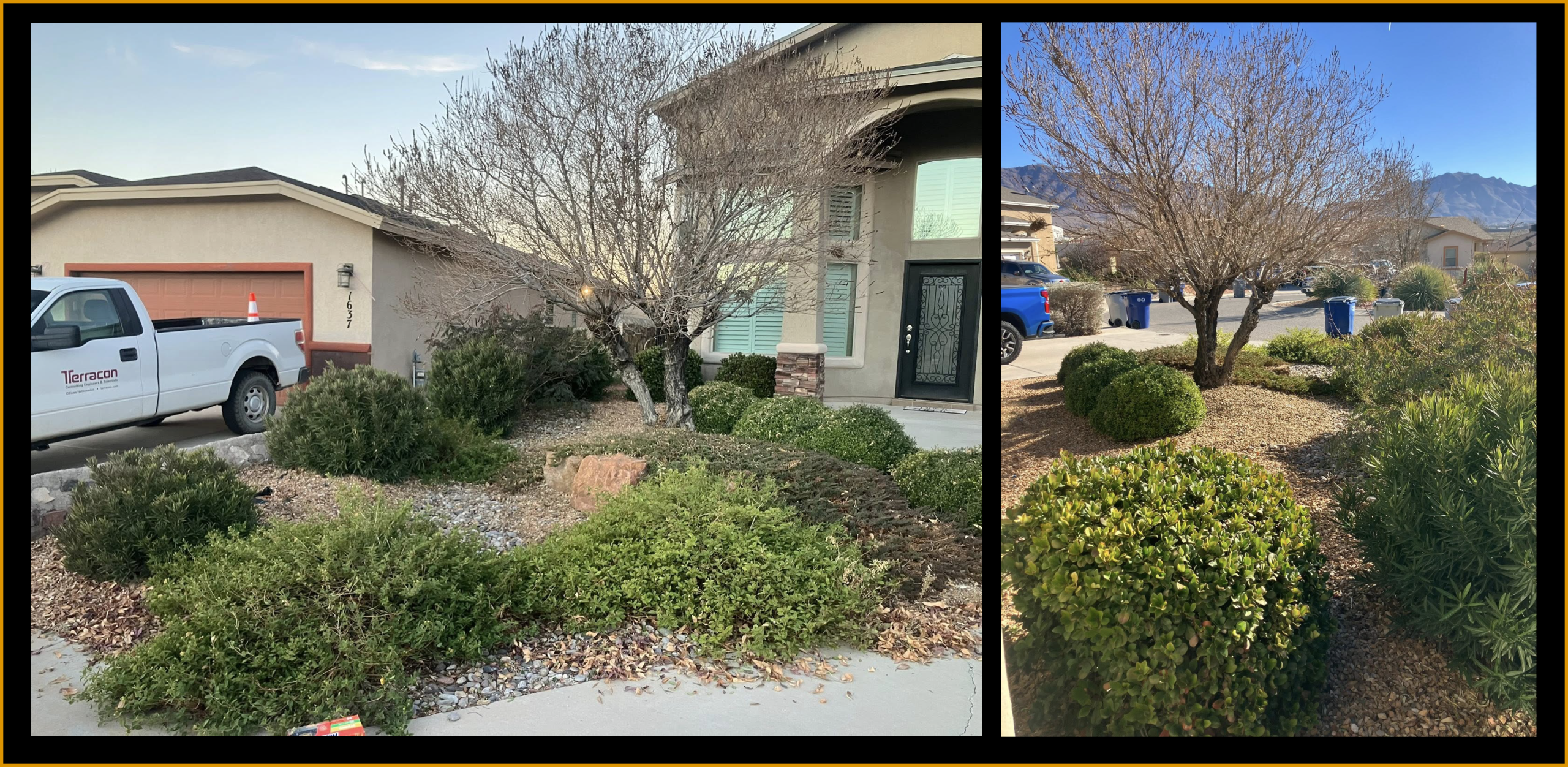 YARD CLEAN UP B&A X YARD CLEAN UP BA X scaled